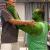 The Hulk beating up my pal Jorge